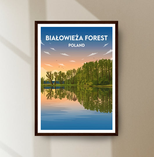 Białowieża Forest