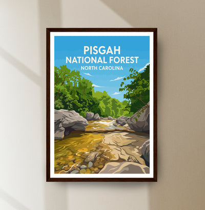 Pisgah National Forest