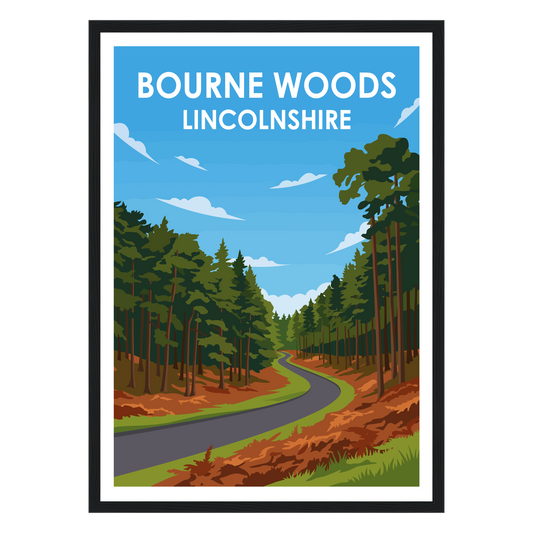 Bourne Woods