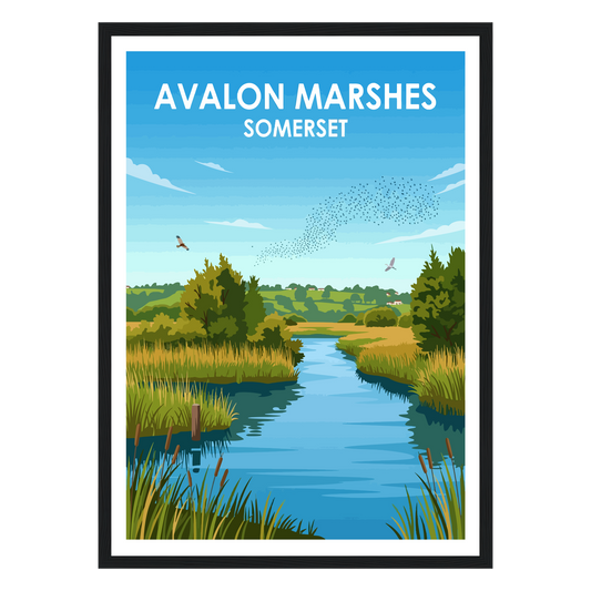 Avalon Marshes