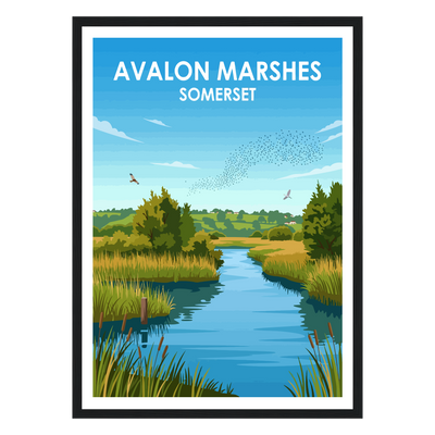 Avalon Marshes