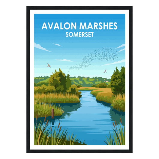 Avalon Marshes
