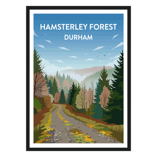 Hamsterley Forest