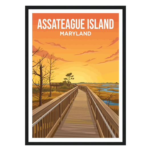 Assateague Island