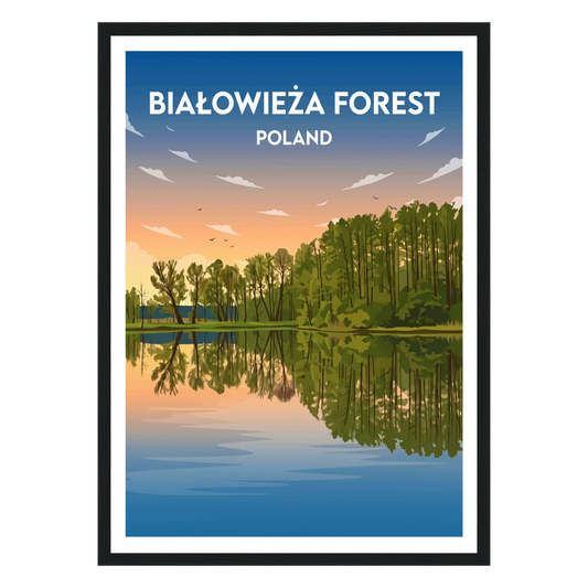 Białowieża Forest