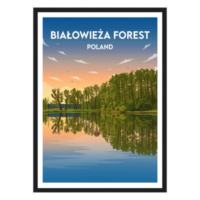 Białowieża Forest