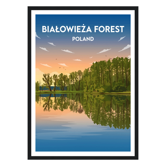 Białowieża Forest