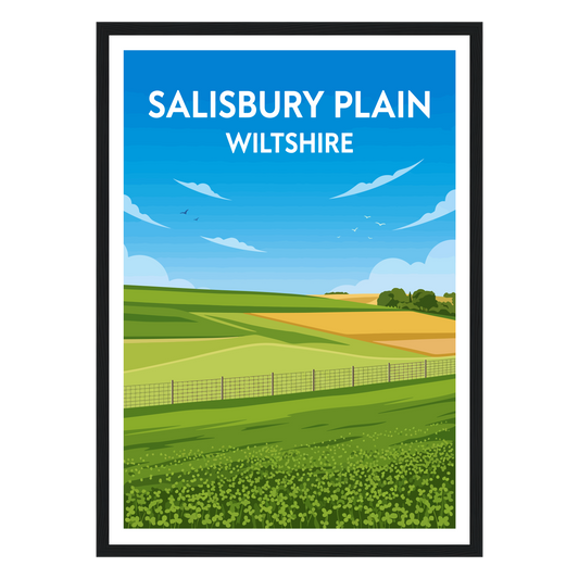 Salisbury Plain