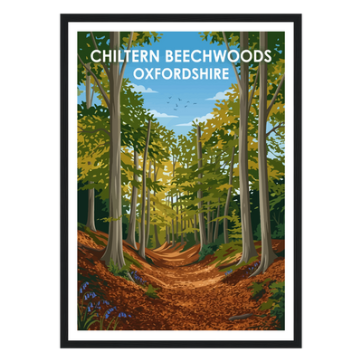Chiltern Beechwoods