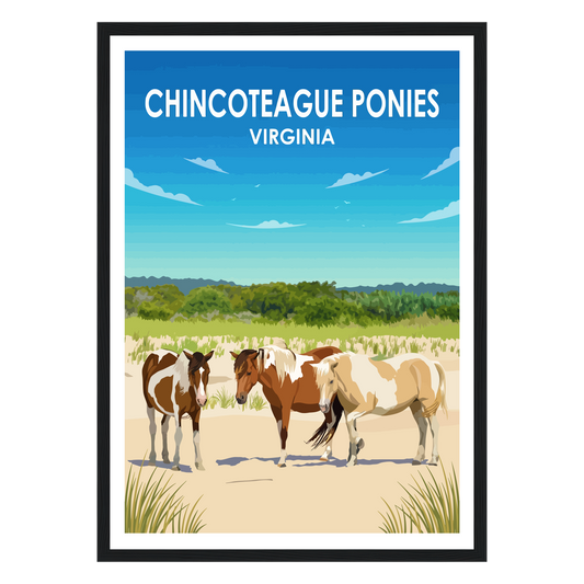 Chincoteague Ponies