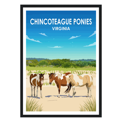 Chincoteague Ponies