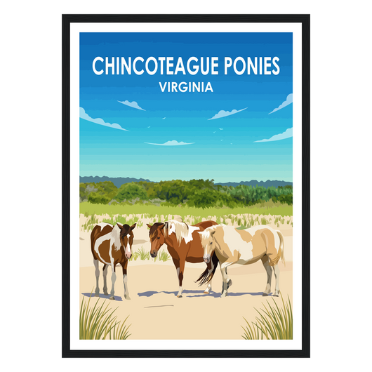 Chincoteague Ponies