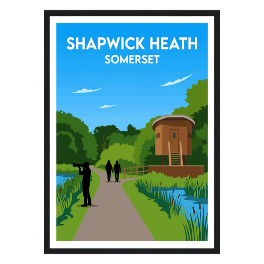 Shapwick Heath