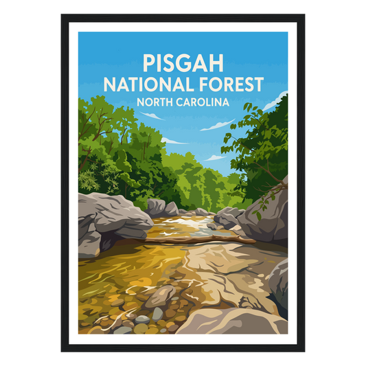Pisgah National Forest