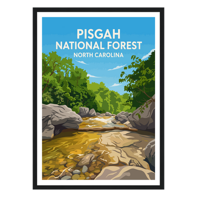 Pisgah National Forest