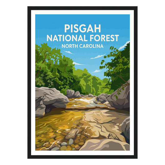 Pisgah National Forest