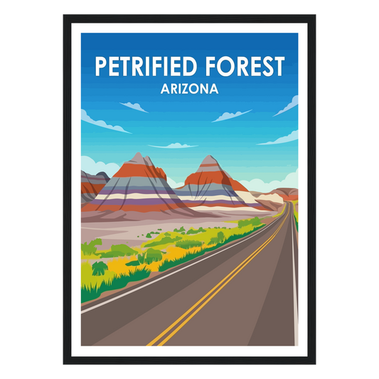 Petrified Forest National Park