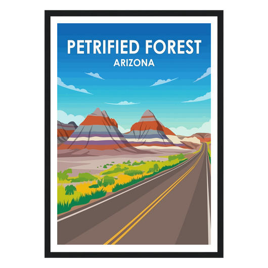 Petrified Forest National Park
