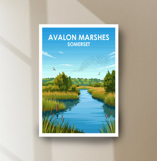 Avalon Marshes