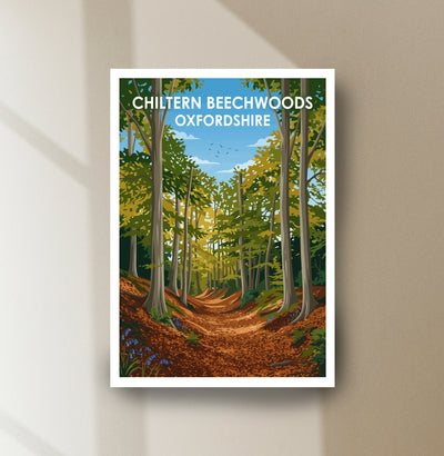 Chiltern Beechwoods