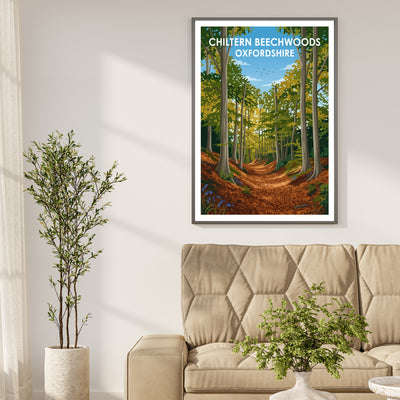 Chiltern Beechwoods